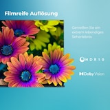 thumbnail of Toshiba 65UF3F63DAR Fernseher 65 Zoll Smart TV, Fire TV, 4K UHD, Dolby Vision HDR Onkyo Sound (2026)