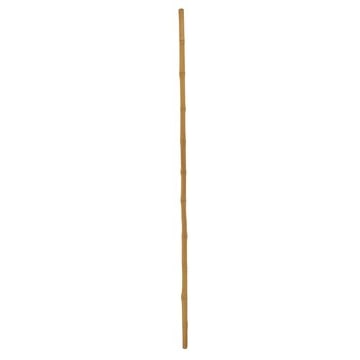 EUROPALMS Bambusrohr, Ø=3cm, 200cm