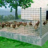 thumbnail of Malha de aves Avinet preto 1x200m