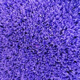 thumbnail of Pavimentos Arquiservi - Césped artificial 8mm / 2x30 (60m²) / 34000 puntadas m²