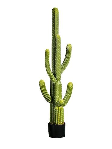 Cactus Saguaro 145 Cm