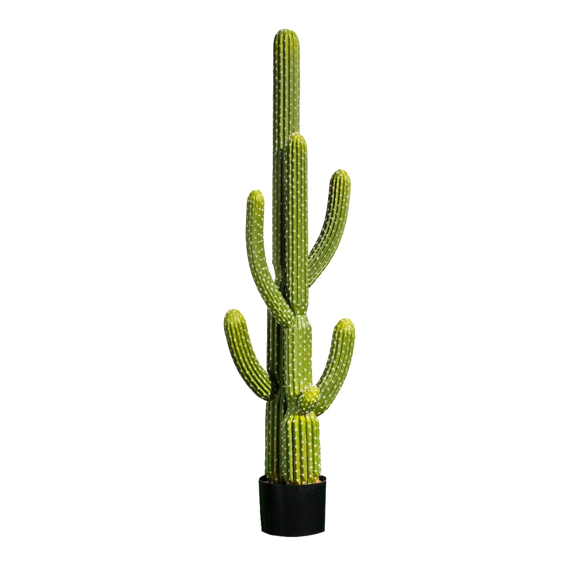Cactus Saguaro 145 Cm