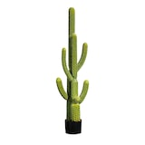 thumbnail of Cactus Saguaro 145 Cm