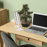 thumbnail of Kunstpflanze / Kunstbaum BONSAI 44 cm grün hjh OFFICE