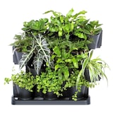 thumbnail of Prosperplast - Cascade Garden verticale kunststof plantenbak in antraciet kleur 68,5x19x54,6 cm