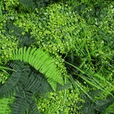 thumbnail of Siepe artificiale Costa| Naturing Monde - 1x1M - Per interni ed esterni - Materiale 100% HDPE di alta qualità