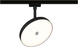 thumbnail of Paulmann URail Schienenspot 3-Step-Dim Hildor  850lm 15W 3000K dimmbar 230V Schwarz matt 96789