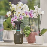 thumbnail of GARDENA Pumpsprüher 0,75 l 1111020