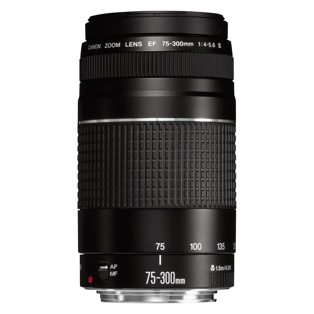 Canon EF 75-300mm f/4.0-5.6 III SLR Teleobjektiv Schwarz