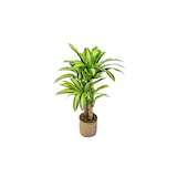 thumbnail of Dracena Artificial (120 cm)