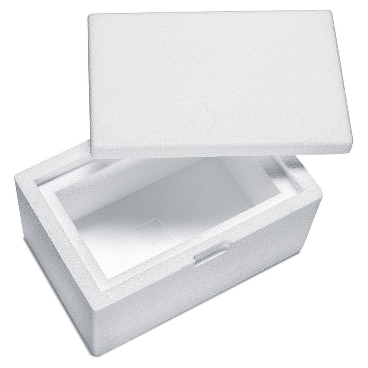 55x Isolierboxen mit Deckel aus Styropor EPS 260 x 170 x 150 mm 1,7 Liter