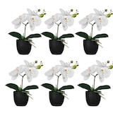 thumbnail of CREATIV green künstliche Pflanze Orchidee, 23cm, pink, im 6er Set