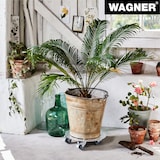 thumbnail of WAGNER Pflanzenroller ALASKA Ø 30 x 7,5 cm, Alu Riffelblech, Softrollen, Bremsen, Tragkraft 100 kg, DE Ware - 20700501