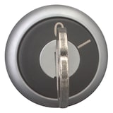 thumbnail of Eaton Schlüsseltaste M22-WRS-MS20 111779
