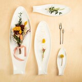 thumbnail of 8 Fuentes para tapas con forma de pez Ovum