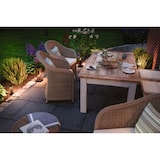 thumbnail of Paulmann Plug & Shine Borne lumineuse LED Classic Luminaire individuel Mini IP44 3000K 2W   Anthracite 94323