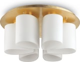 thumbnail of Daidy pl6, Deckenleuchte in Gold und Weiß, Ideal Lux