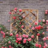 thumbnail of Relaxdays Rankkasten mit Rankgitter, wetterfest, Holz, für Balkon, Garten, Rosen, 25 L Kübel, 147 cm Rankhilfe, gebrannt