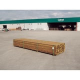 thumbnail of Listones de madera de pino  AULO STICK 300x7x3cm PEFC