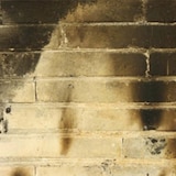 thumbnail of Pintura Tixotrópica Antimanchas Bajo Olor (4L - Blanco) - Base agua, tapa manchas incendios, humos, grasas, aceites en cocinas