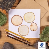 thumbnail of STAEDTLER - Caja de Cartón con 24 Lápices de Colores Surtidos