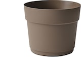 thumbnail of TeraPlast Bloom 19 Pflanzkübel Sand Beige rund 19cm Wasserspeicher Topf