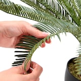 thumbnail of Kunstplant / Kunst palmboom CYCAS kunststof groen - hjh OFFICE