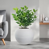 thumbnail of Jarrón de resina para plantas de interior y exterior, diseño esfera redonda d.40x33h Botticelli Blanco