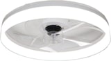 thumbnail of Ventilateur de plafond avec lumière, silencieux DC, télécommande, BLANC, Ø 50cm, tonalité lumineuse réglable et dimmable.