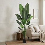thumbnail of Well Home - Palmera platanera artificial con maceta negra para interior 210 cm