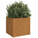 thumbnail of vidaXL Plantenbakken 2 st 49x47x46 cm cortenstaal
