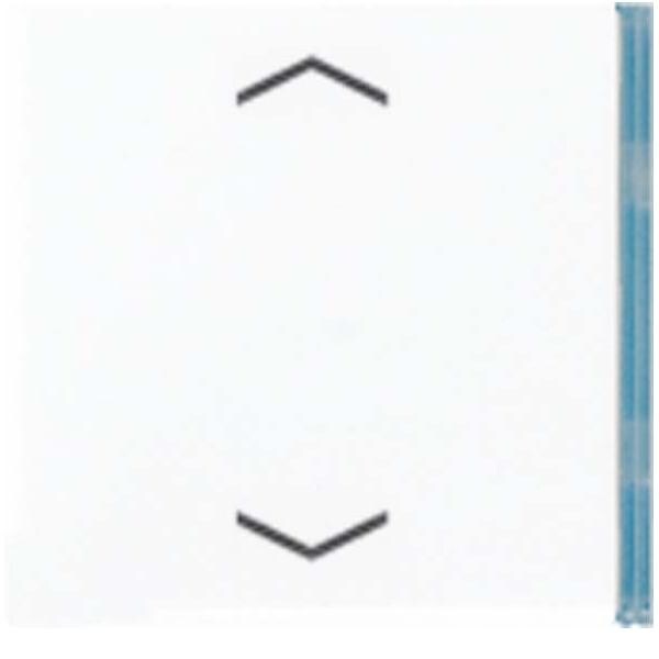 Jung Taste 4-fach anth AL 2404 TSAP AN 23 AL2404TSAPAN23