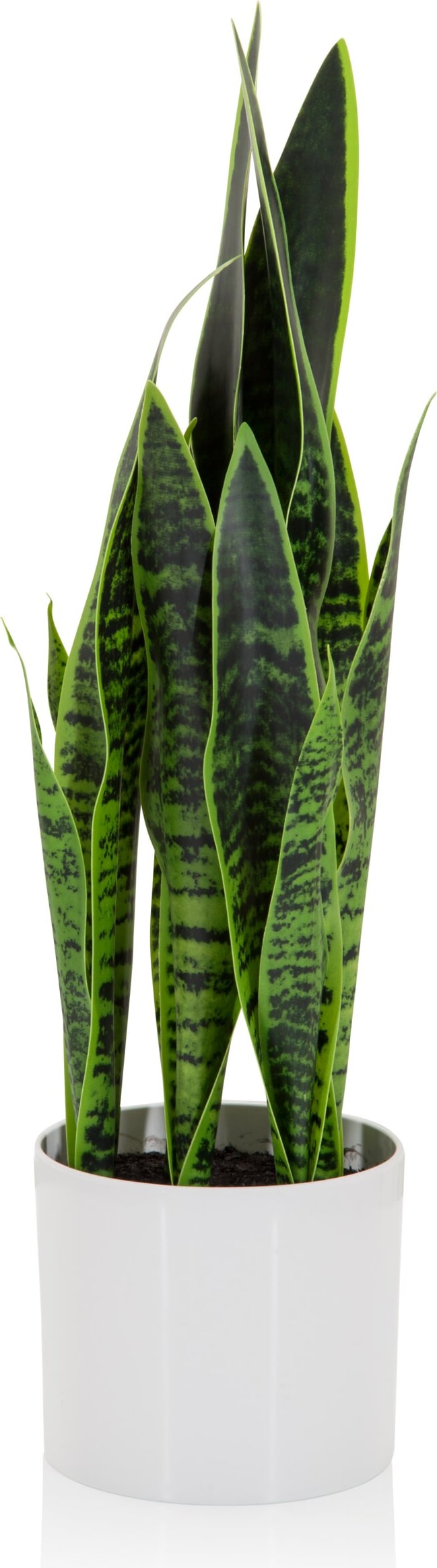 mobile_image