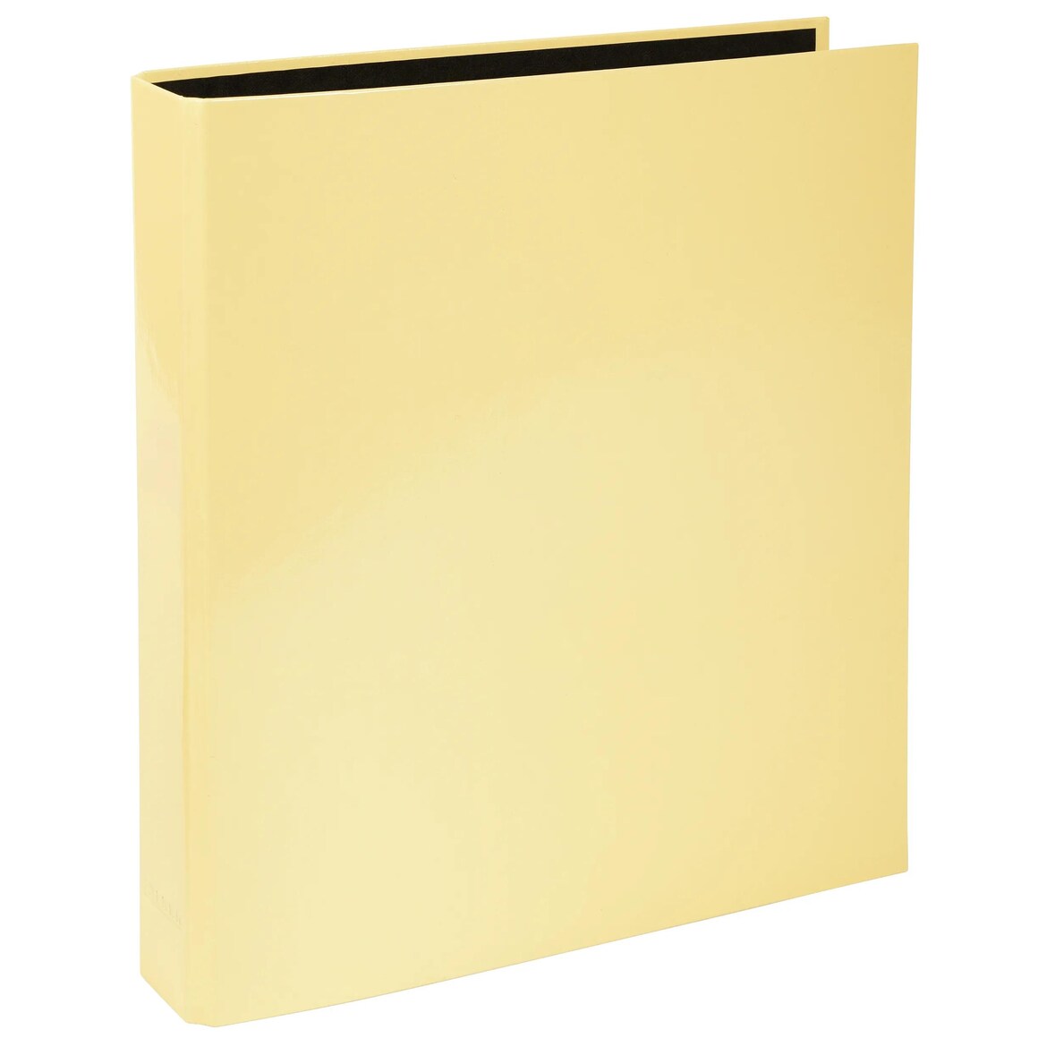 Exacompta 54569E 10x Ringbuch A4, 2 Ringe in D-Form 25mm, Serie Aquarel - Zitrusgelb