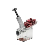 thumbnail of Kirschentkerner "Kirschautomat"