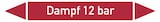thumbnail of Rohrleitungskennzeichen Dampf 12 bar - 270x37 mm Folie selbstklebend