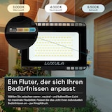 thumbnail of LUXULA LED Fluter LX400130 50 W 3000 K, 4000 K, 6000 K einstellbar in warm-, neutral- und kaltweiß (CCT) schwarz IP65