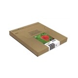 thumbnail of Epson Original Easy Mail Packing 29 Erdbeere Druckerpatronen - 4er Multipack (C13T29864511)