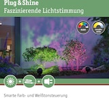 thumbnail of Paulmann Plug & Shine Projecteur de jardin LED Smart Home Zigbee 3.0 Kikolo   IP65 RGBW+ 6,2W   Anthracite 94769