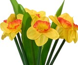 thumbnail of 1 Kunst Blumenbündel Osterglocken 13x25cm Narzissen Blumenstrauß Osterdeko Blumendeko Frühlingsdeko Sommerdeko Gelb Weiß Grün