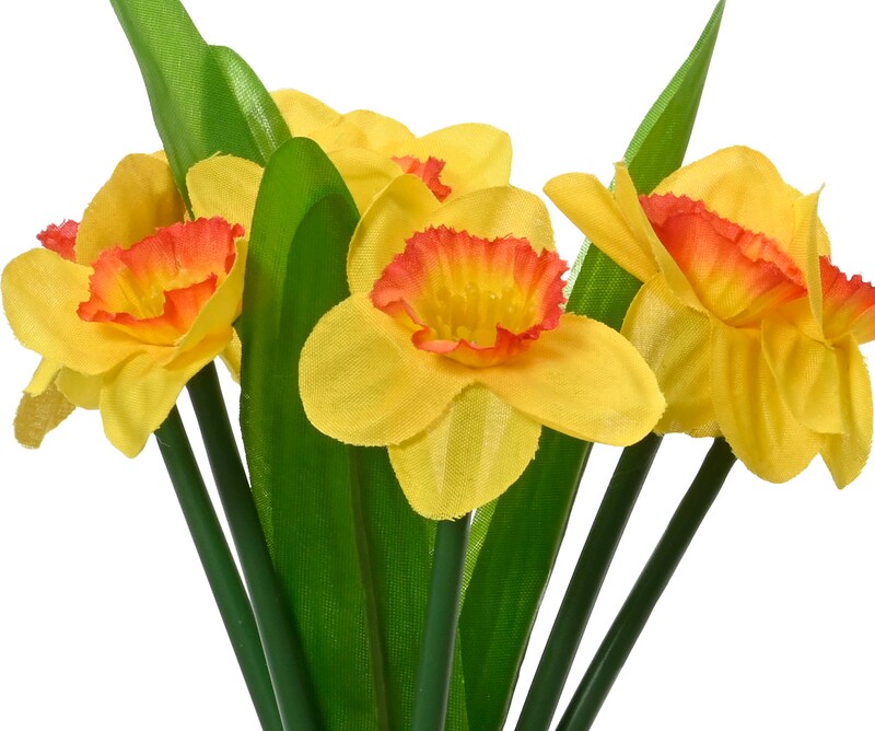 mobile_image