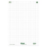 thumbnail of Ursus Green Flipchart-Papier Kariert 68 x 99 cm 80 g/m² 5 Stück à 20 Blatt