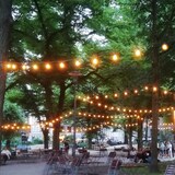 thumbnail of Illu- Party Garten Außenlichterkette 5m grün 10x dimmbare Glühbirne