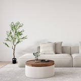 thumbnail of IvoQ Künstlicher Olivenbaum 150 cm – Wartungsfrei – Langlebig & Sicher – Luxuriöse Kunstpflanze – Immergrüner Stimmungsmacher für Zuhause und Büro