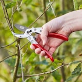 thumbnail of SIENA GARDEN CG1050 Premium Premium Ambossschere CG1050, antihaftbeschichtete Klinge