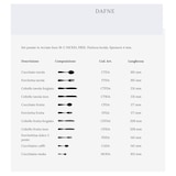 thumbnail of Salvinelli Dafne, set 12 forchetta dolce 4 mm in acciaio inox 18 C