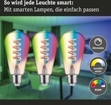 thumbnail of Paulmann Filament 230V Smart Home Zigbee 3.0 LED Kolben ST64 E27  3x470lm 3x6,3W RGBW+ dimmbar Gold 29164