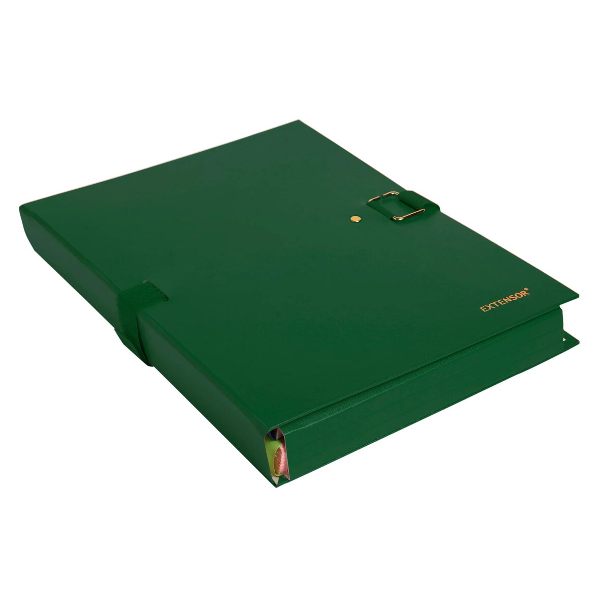 Exacompta 22007E 10x Präsentationsmap. Dehn. Rücken EXTENSOR® So - Grün