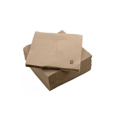 Servietten 33x33 2Fls Recycled Nature P&P 3x50un