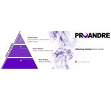 thumbnail of Proandre Lufterfrischer Frische Wäsche Aerosol 250ml